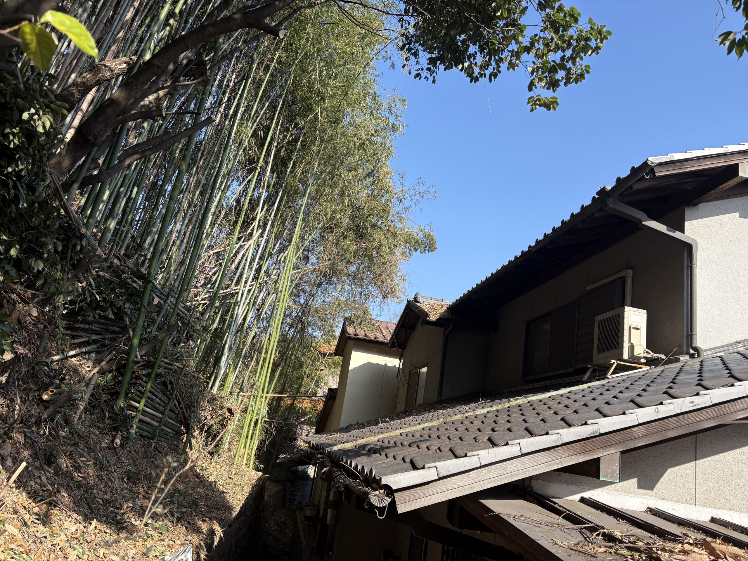 浜松市で住宅裏の竹林を安全伐採｜特殊伐採プロ 静岡伐採 アートワークス施工事例 - After