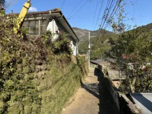 掛川市 伐採 - After