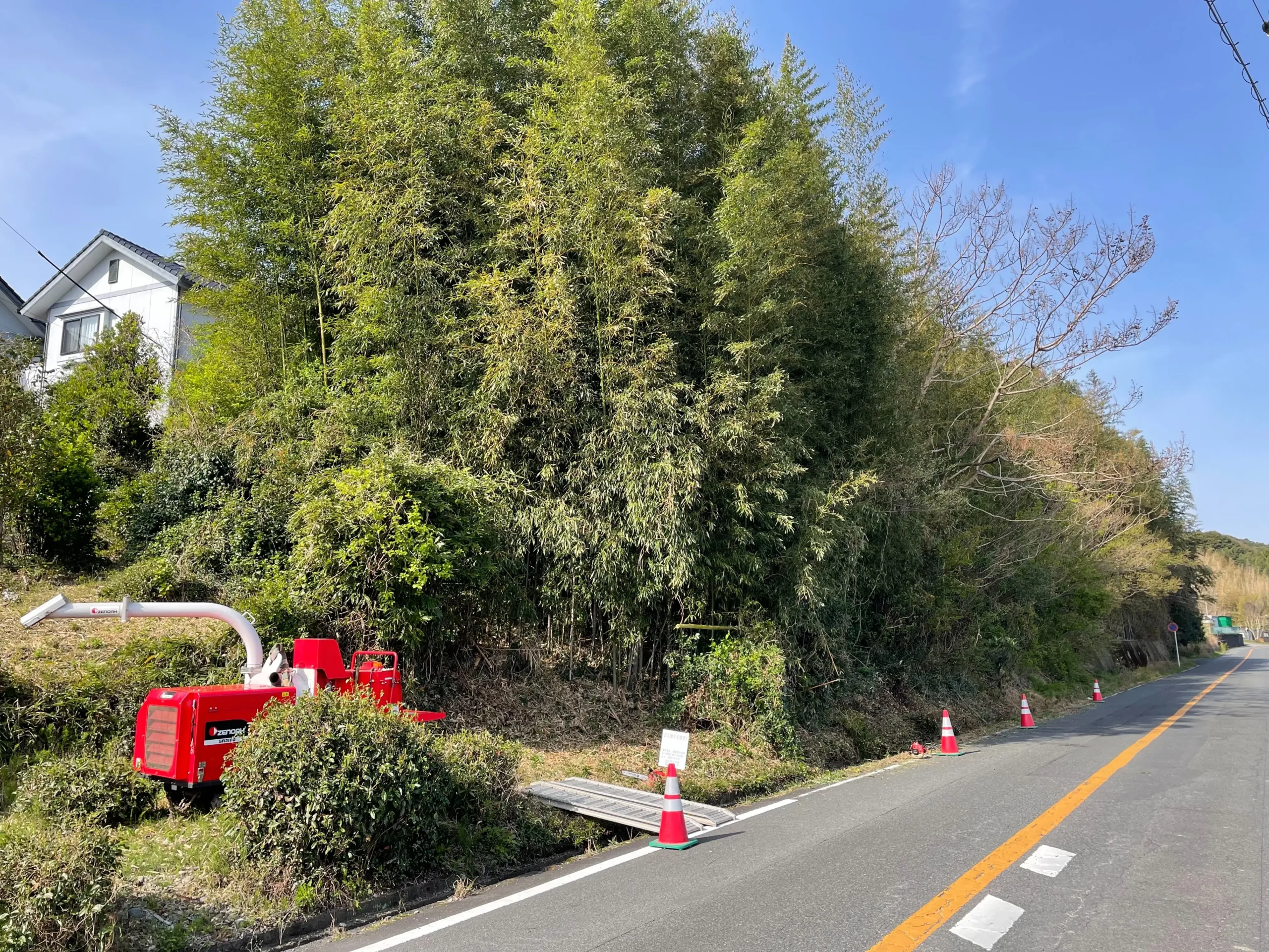 藤枝市で道路に迫る竹林を特殊伐採｜倒木の危険を防ぐアートワークスの施工事例 - Before