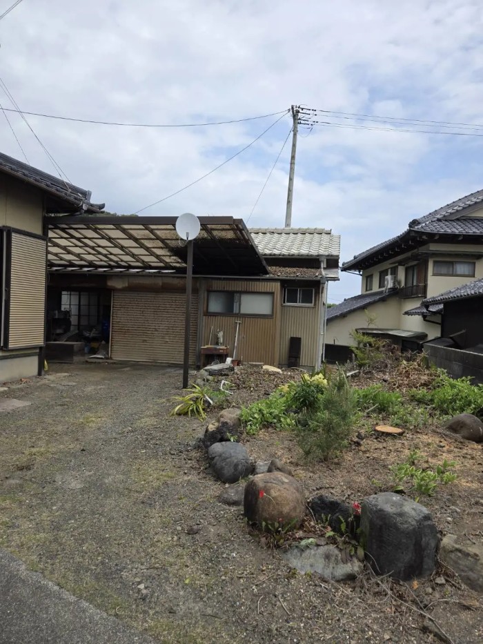 島田市でテラス屋根を守るモチノキの特殊伐採｜重機不可の難所はアートワークスにお任せ - After