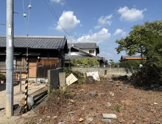 菊川市で電線沿いの松を特殊伐採｜高所作業車で安全に対応した作業事例 - After