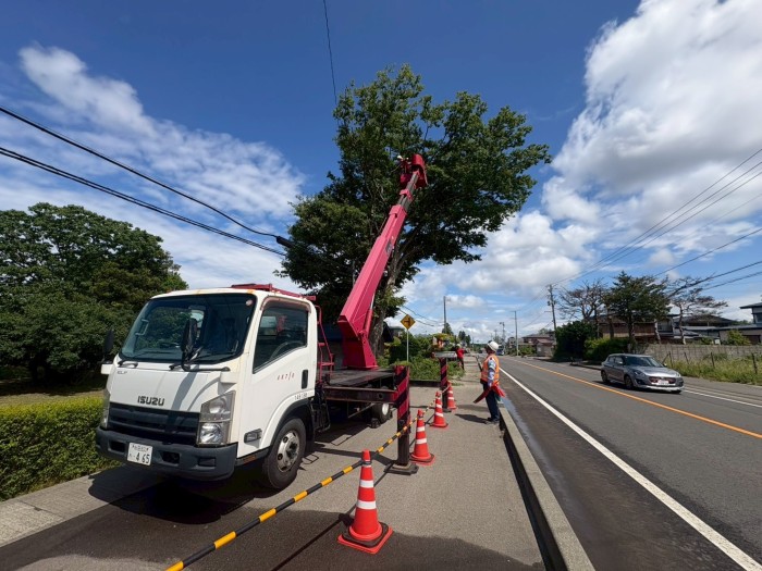 菊川市で特殊伐採｜歩道や車道にはみ出した高さ約10mの大木を高所作業車で伐採 - Before